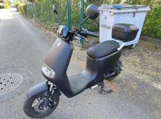 Forza Citigo Elektro-Tretroller