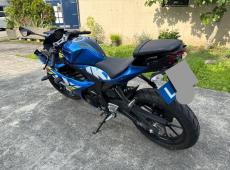 Suzuki GSX (244 km)