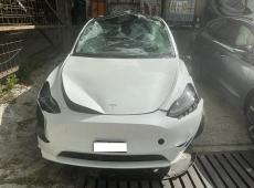 Tesla Model Y ID 442066