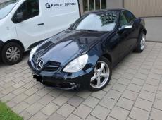 MERCEDES-BENZ SLK 350 ID 446330