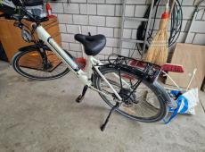 Speed-e Sport-e ID 447124