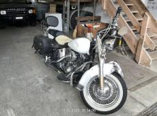 HARLEY-DAVIDSON FLSTCI Softail Classic, 63 PS