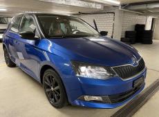 Skoda Fabia ID 447263