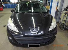PEUGEOT 207 1.4 16V TRENDY ID 447682