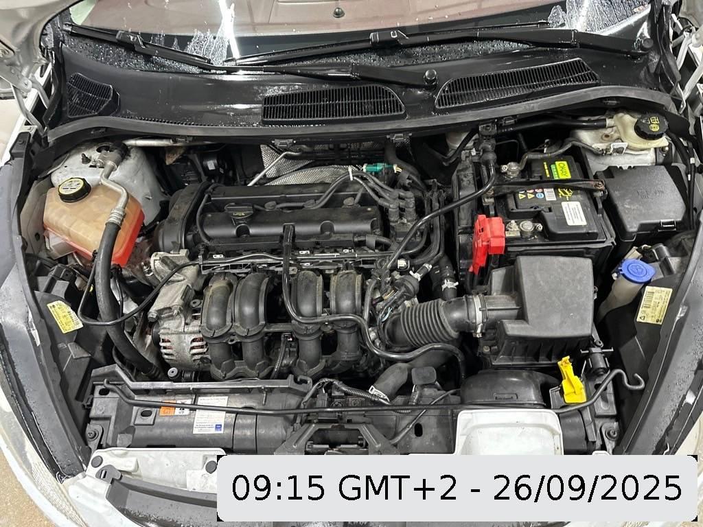 T8