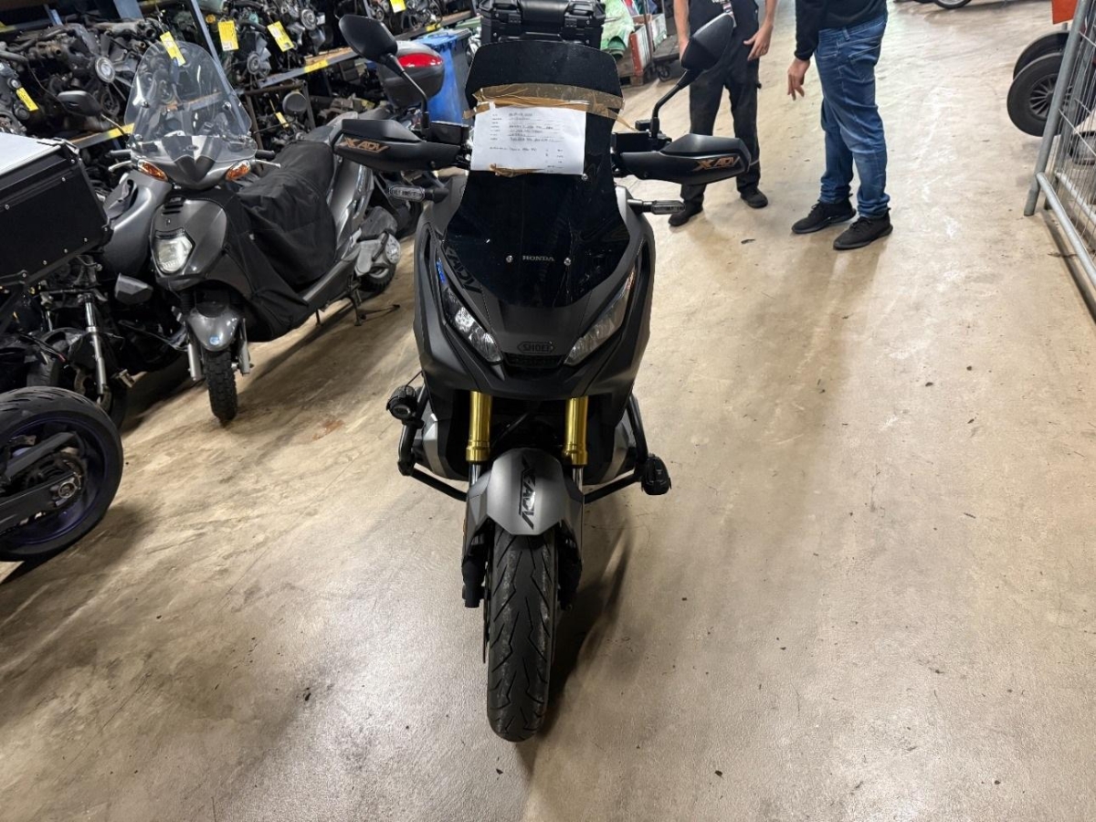 T6