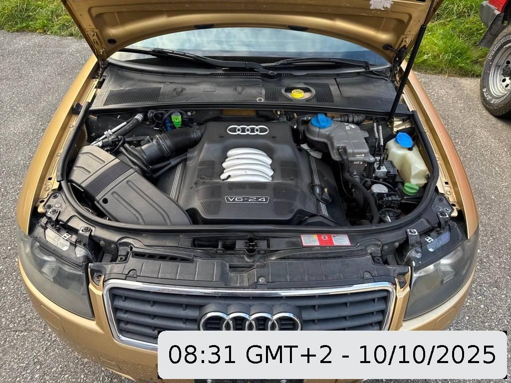 T11