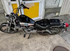 YAMAHA XV 125 S Virago, 11 PS