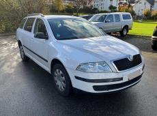 Skoda Octavia Combi 1.9 TDI 4×4 (213246 km)