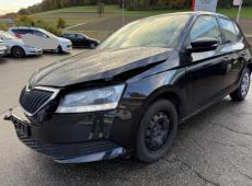 Skoda Fabia (95993 km)