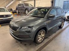 Skoda Karoq (160963 km)