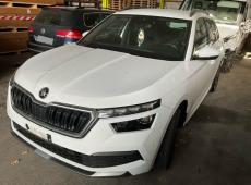 Skoda Kamiq (122240 km)