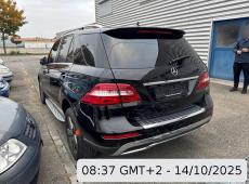 MERCEDES-BENZ ML 350 BlueTEC Exec. 4M, 258 PS