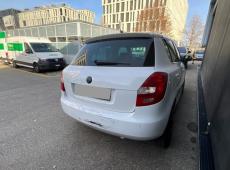 Skoda Fabia (191045 km)