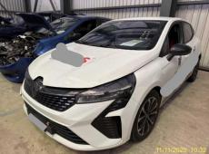 Renault Clio (95393 km)