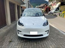 Tesla Model 3 Long Range D ID 455551