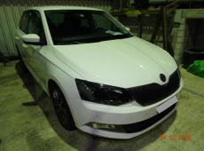 Skoda Fabia (159712 km)