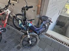 Tomos Mofa ID 455596