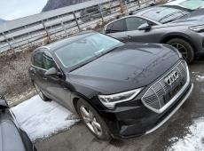 Audi e-tron 50 Advanced quattro ID 455801