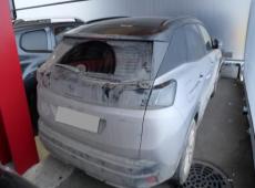 Peugeot 3008 (25024 km)