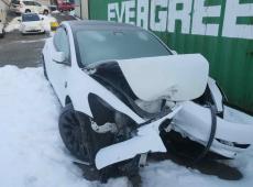 TESLA Model 3 Long Ran Dual AWD ID 456741