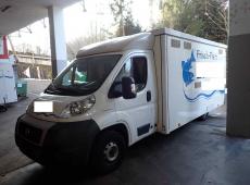 FIAT VERKAUFSMOBIL DUCATO ERGO 4450 VEMUS ID 457365