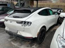 Ford Mustang Mach-E (5159 km)