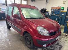 Renault Kangoo (224469 km)