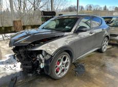 Alfa Romeo Tonale 1.5 MHEV (64000 km)