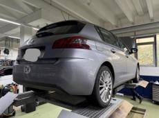 Peugeot 308 (99696 km)