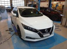 Nissan Leaf (62194 km)