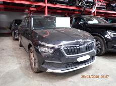 SKODA KAMIQ 1.0 TSI AMBITION DSG ID 462853