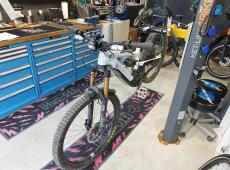 YT Decoy Core 4 ID 462863