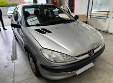 Peugeot 206 (225499 km)
