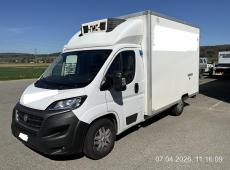Fiat Ducato 2.3 MJ – Kühlkasten 2.3, 131 PS