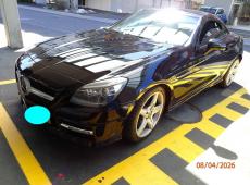 MERCEDES-BENZ SLK 250 ID 463842