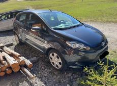 FORD Fiesta 1.4 16V Trend ID 463931