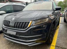 Skoda Kodiaq (77102 km)