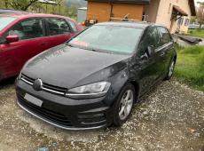 VW Golf VII 1.4 TSI 5 (249823 km)