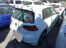 VW Golf (245741 km)