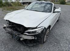 BMW 220i cabrio Sport Line Steptronic ID 465348