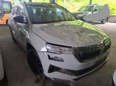 Skoda Karoq (30126 km)