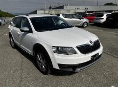 Skoda Octavia Scout ID 465781