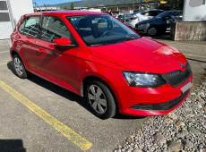 Skoda Fabia (177756 km)