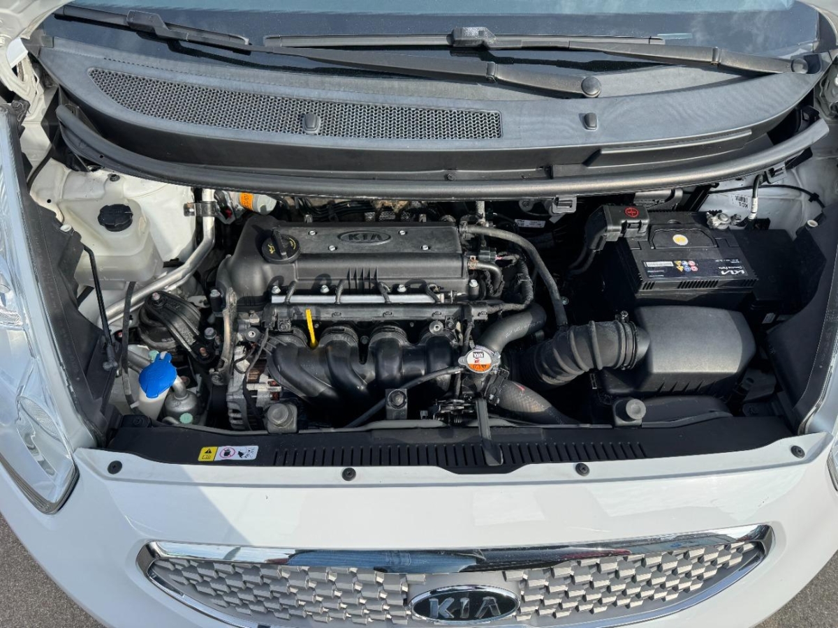 T11