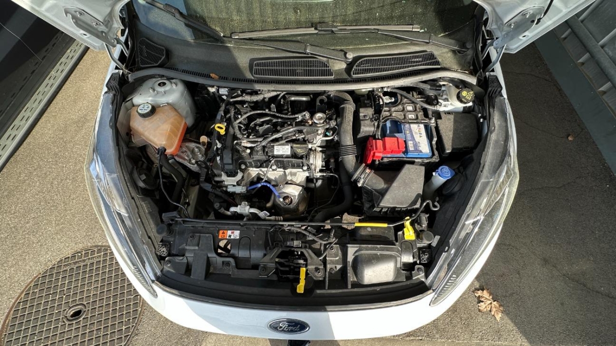 T12
