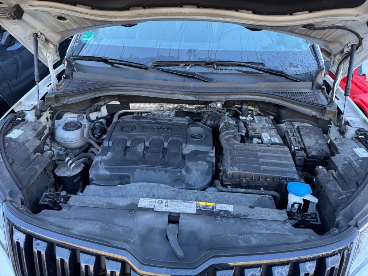 T17