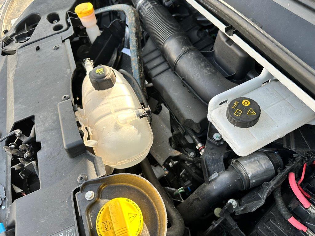 T7