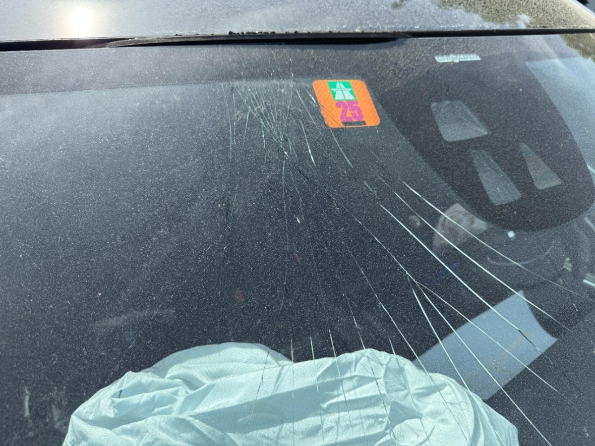 T13