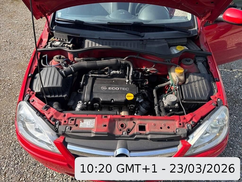 T11